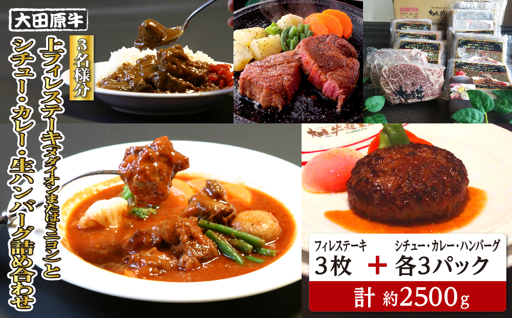 【3名様分】 大田原牛 上フィレ ステーキ 3枚（メダイオンまたはミニヨン）とシチュー・カレー・生ハンバーグ各3パックの詰め合わせ | ブランド牛 和牛 牛肉  高級 ヒレ ステーキ ハンバーグ カレーライス ビーフシチュー