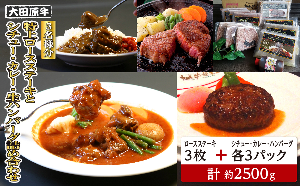 【3名様分】 大田原牛 特上ロース ステーキ 3枚とシチュー・カレー・生ハンバーグ各3パックの詰め合わせ | ブランド牛 和牛 牛肉  高級 ロース ステーキ ハンバーグ カレーライス ビーフシチュー
