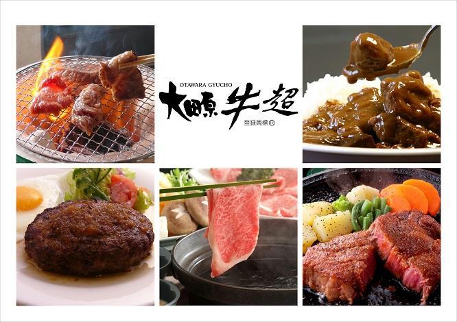 【最高級黒毛和牛／全5回毎月頒布会】 大田原牛の特選定期便 [(1) 焼肉詰め合わせ (2) カレーとシチュー (3) 大田原牛 生ハンバーグ (4) 赤身部位のすき焼き・しゃぶしゃぶ用スライス (5) ロース・サーロインステーキ]