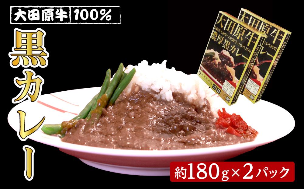 大田原牛 100％ 黒カレー 2パックセット | レトルト カレー 和牛  牛肉 ビーフカレー 高級