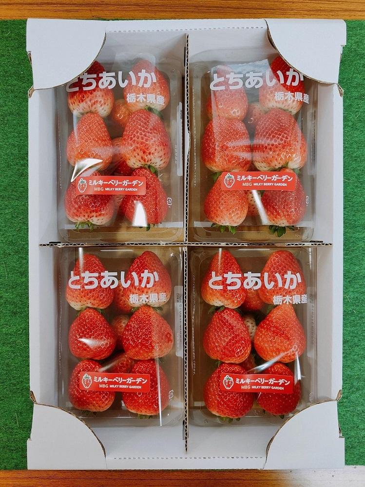 【朝採り・農園直送(3月~6月収穫・発送)】栃木県産とちあいか（レギュラー270ｇ×4パック）×1箱