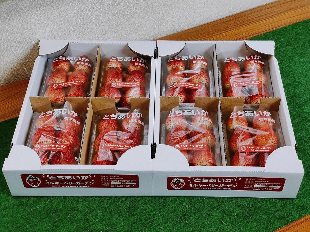 【朝採り・農園直送(3月~6月収穫・発送)】栃木県産とちあいか（レギュラー270ｇ×4パック）×2箱