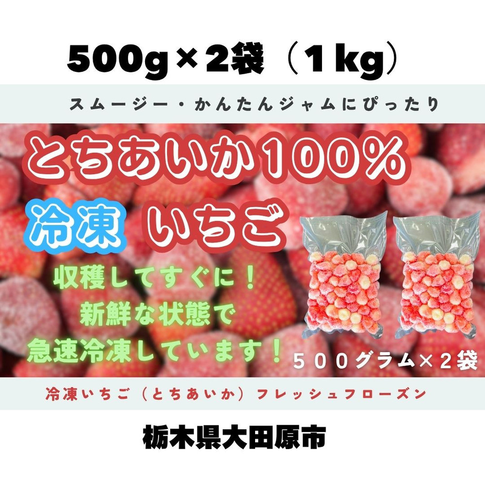 【スムージー・かんたんジャムに最適】冷凍いちごとちあいかフレッシュフローズン（500ｇ×2袋）