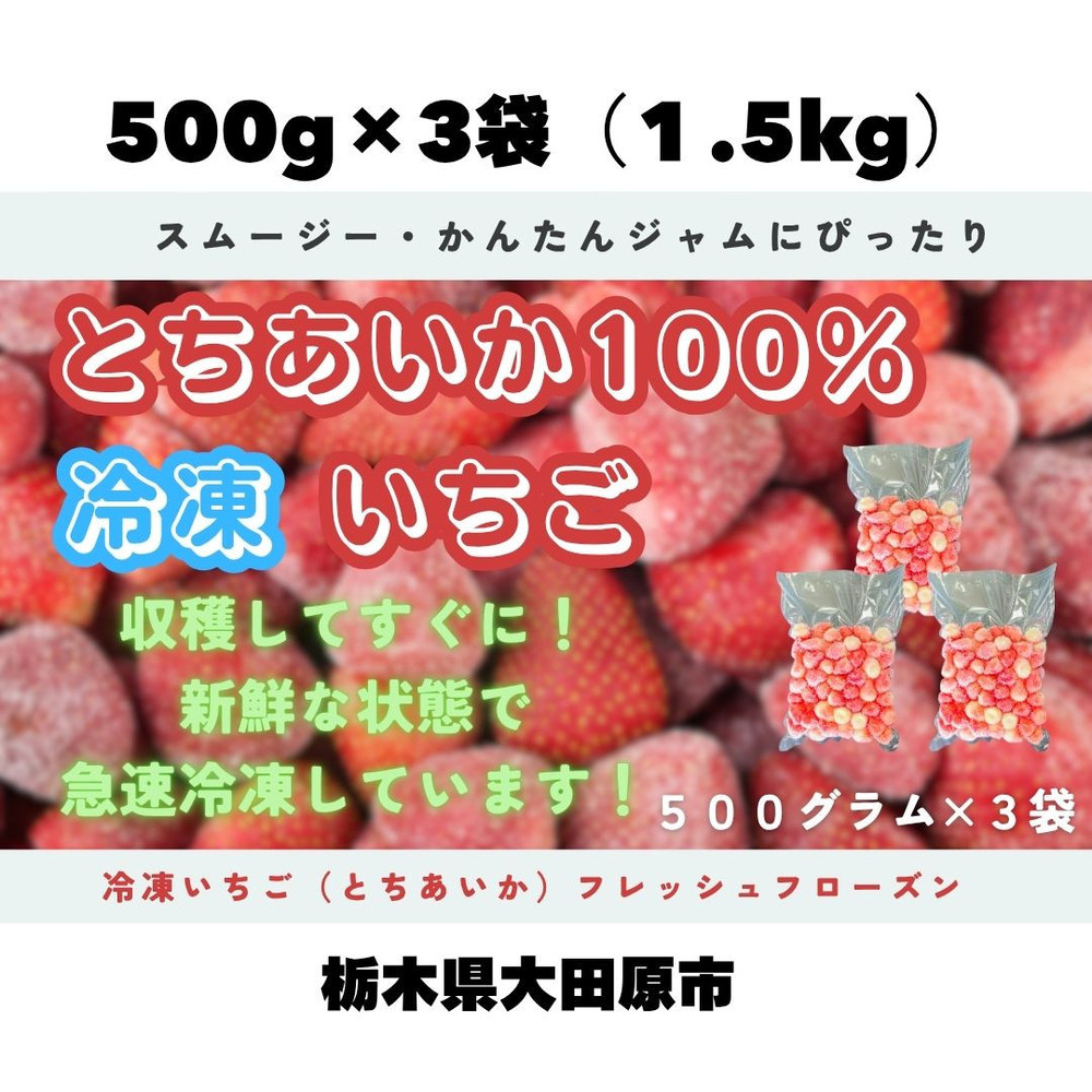 【スムージー・かんたんジャムに最適】冷凍いちごとちあいかフレッシュフローズン（500ｇ×3袋）