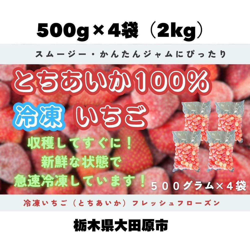 【スムージー・かんたんジャムに最適】冷凍いちごとちあいかフレッシュフローズン（500ｇ×4袋）