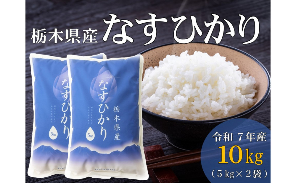 令和7年産 栃木県産 なすひかり 10kg JAなすの産地直送【大田原市・那須塩原市・那須町共通返礼品】