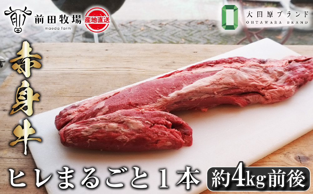 【大田原 前田牧場直送 赤身牛】ヒレまるごと1本（4kg前後） | ブランド牛 牛肉 フィレ ステーキ ヒレ 産地直送 産直