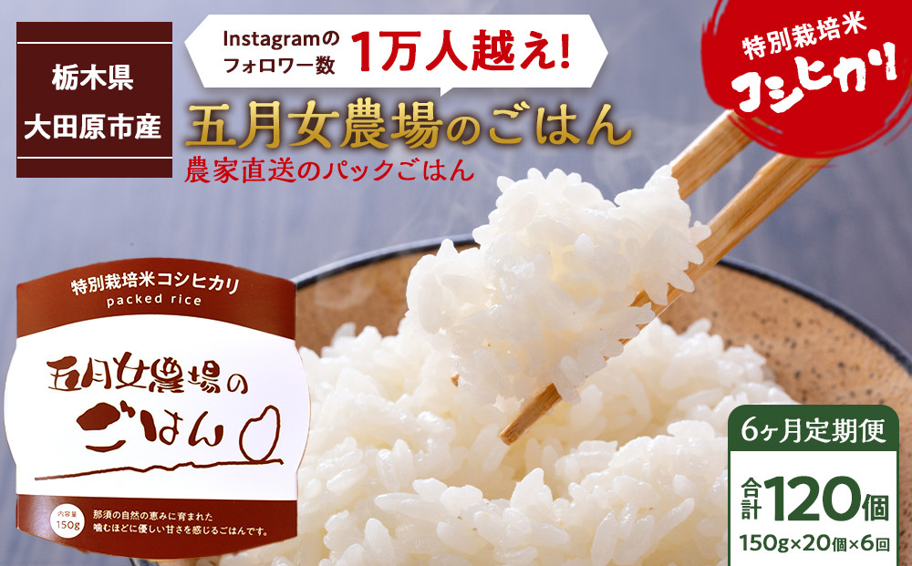 【6か月定期便】農家直送のパックごはん☆五月女農場のごはん（150ｇ×20個）