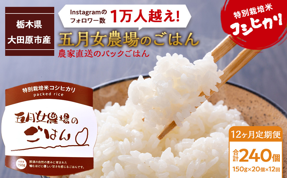 【12か月定期便】農家直送のパックごはん☆五月女農場のごはん（150ｇ×20個）