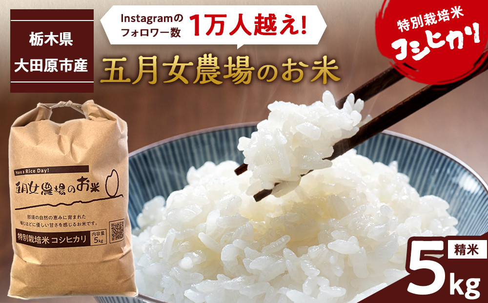 令和7年産 精米 特別栽培米 コシヒカリ「五月女農場のお米」(5kg)  ｜ 農家直送 産地直送 産直 栃木県 大田原市 こしひかり