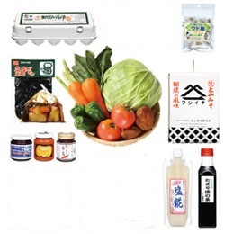 那須与一の郷　特選野菜ギフト　大田原がよくわかるセット