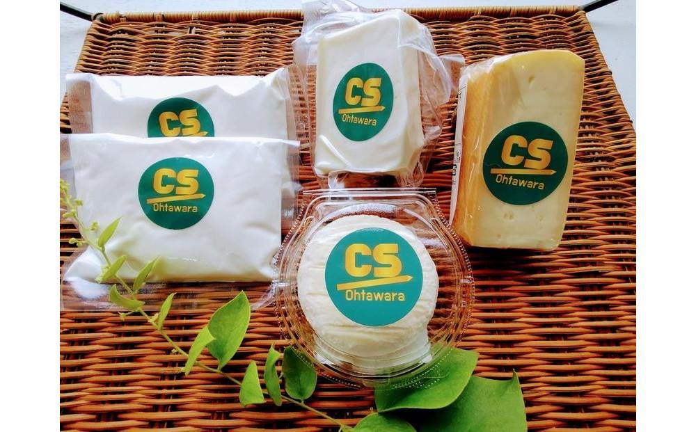 大田原チーズセット チーズ 詰め合わせ セット おつまみ フレッシュチーズ 料理