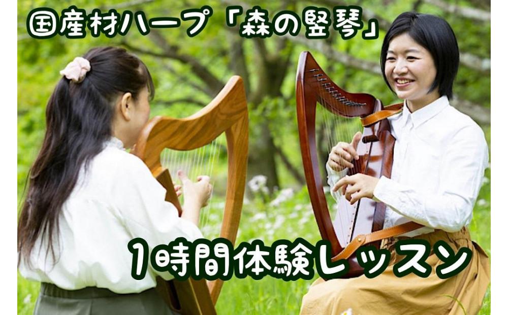 竪琴教室林音　国産材 ハープ 「森の竪琴」　1時間体験レッスンチケット（5名様まで） ｜ 音楽 利用券 体験 教室 