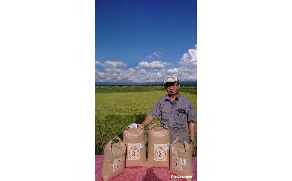 令和7年度産　體力米（たいりょくまい） ゆうだい21 白米 5kg | 米 お米 地域ブランド 新品種 栃木県 大田原市