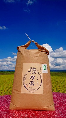 令和7年度産 體力米（たいりょくまい）コシヒカリ 白米 10kg ｜ 米  ブランド米 栃木県 大田原市