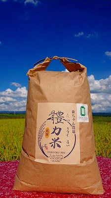 令和7年度産　體力米（たいりょくまい）コシヒカリ 玄米 10kg ｜ 米  ブランド米 栃木県 大田原市