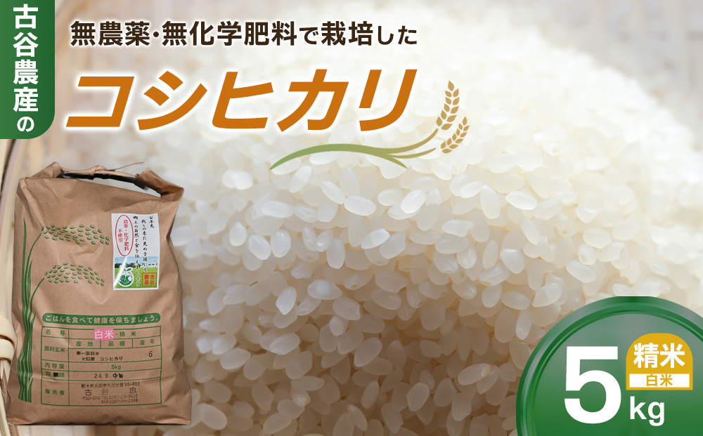 【令和7年産米】古谷農産の無農薬・無化学肥料で栽培したコシヒカリ（精米5キロ） ｜米 コメ  白米 5kg コシヒカリ こしひかり 農家直送 産地直送 産直