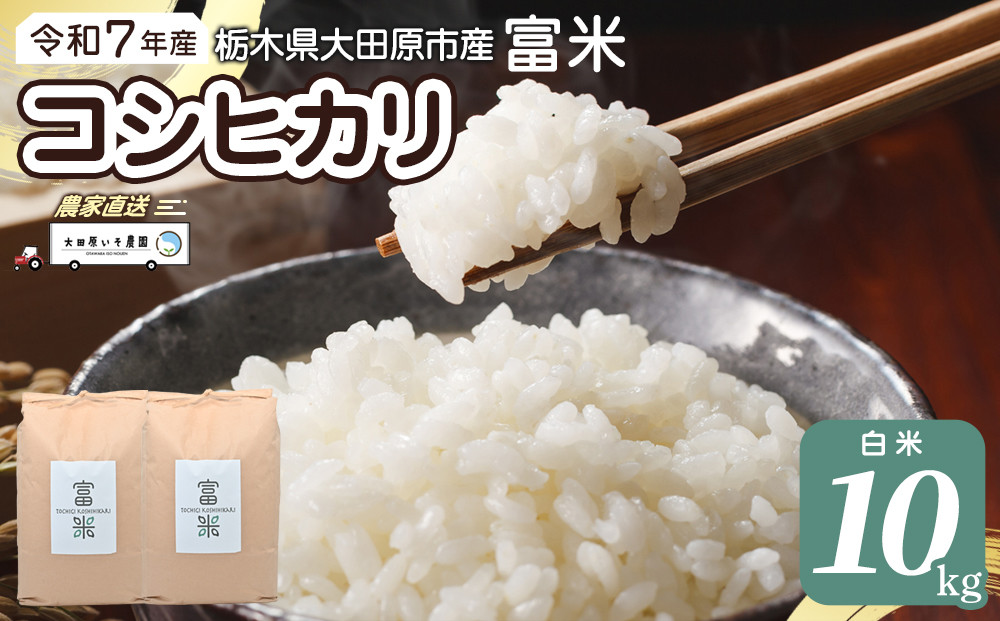 ≪2025年10月中旬以降発送≫令和7年産 栃木県大田原市産コシヒカリ「富米」 白米 10キロ ｜米 お米  コメ こしひかり 10kg