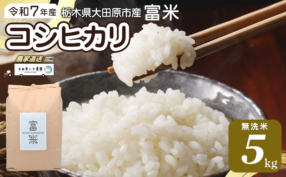 ≪お申込みから2週間以内に発送≫令和7年産 栃木県大田原市産コシヒカリ「富米」 無洗米　5キロ ｜米 お米  無洗米 コメ こしひかり 5kg