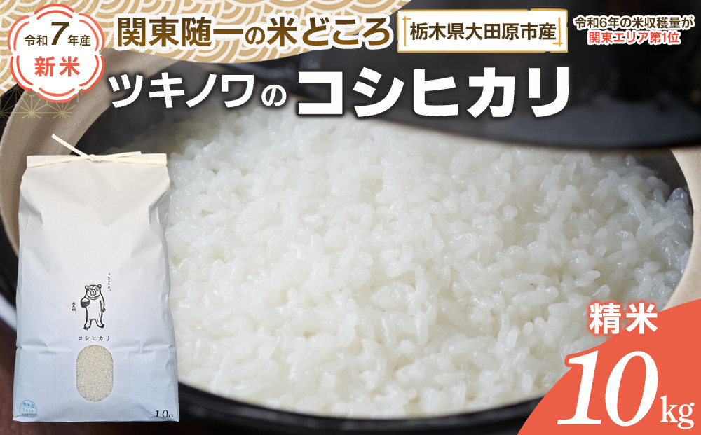 令和6年度 新潟県産 コシヒカリ10キロ 精米済み