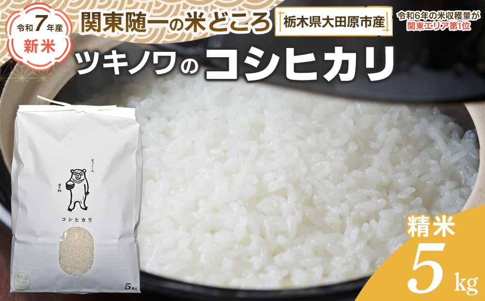 【令和7年産  】ツキノワのコシヒカリ 精米 5kg ｜お米 白米 ご飯 コメ 栃木県 大田原市