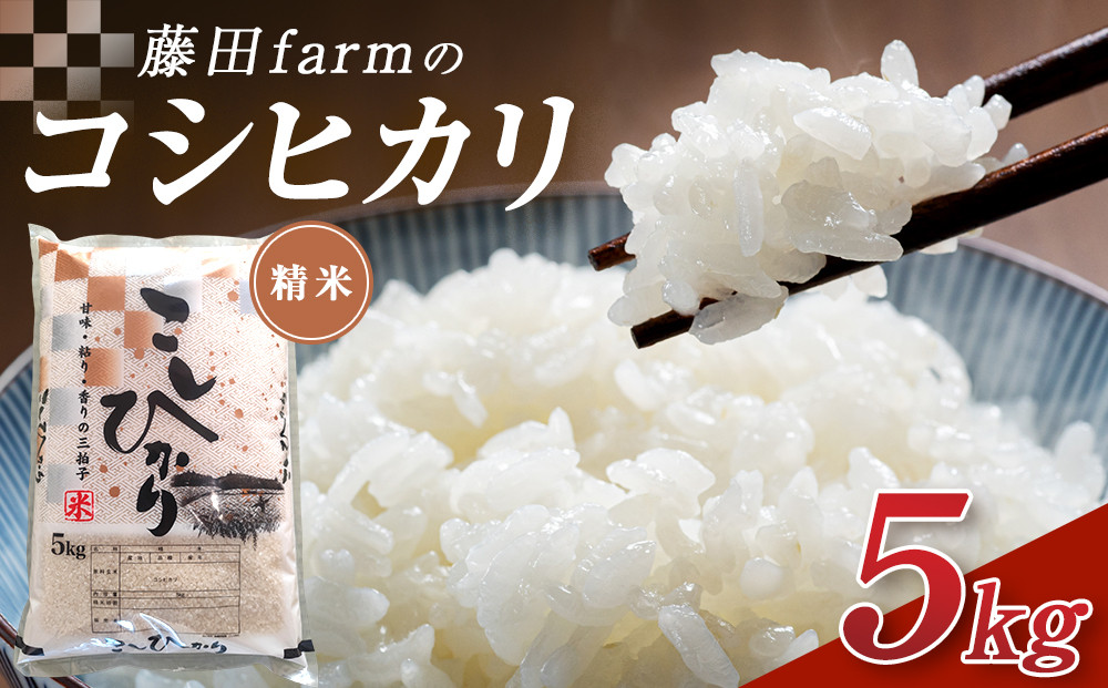 令和7年産 大田原市 藤田farmのコシヒカリ 5kg ｜栃木県産 米 お米  コメ こしひかり コシヒカリ 栃木県 【選べる容量】5kg 10kg  数量限定