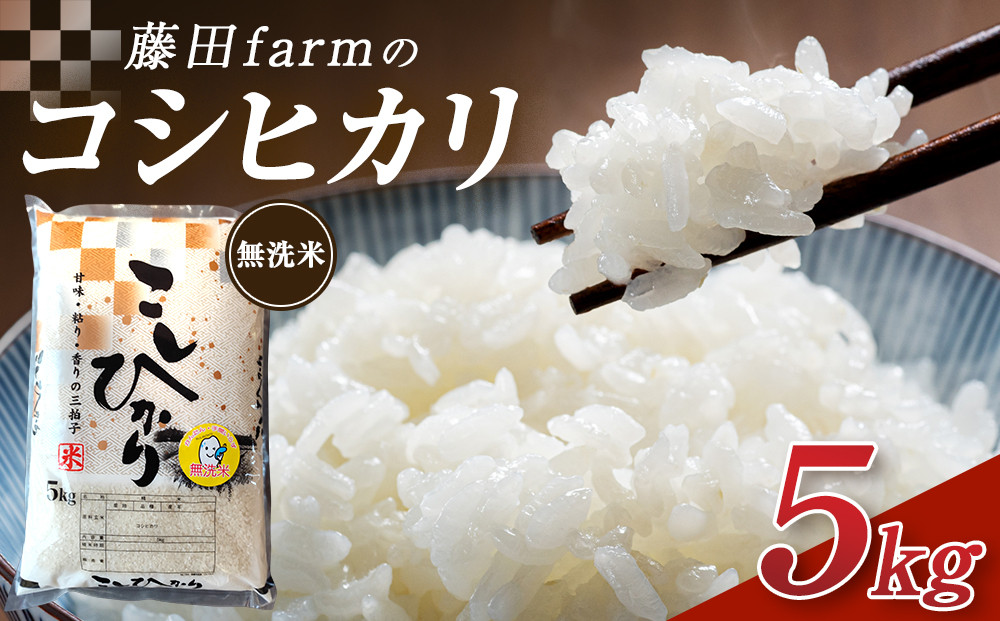 令和7年産 大田原市 藤田farmのコシヒカリ 【無洗米】 5kg ｜栃木県産 米 お米  コメ こしひかり コシヒカリ 栃木県 【選べる容量】5kg 10kg  数量限定