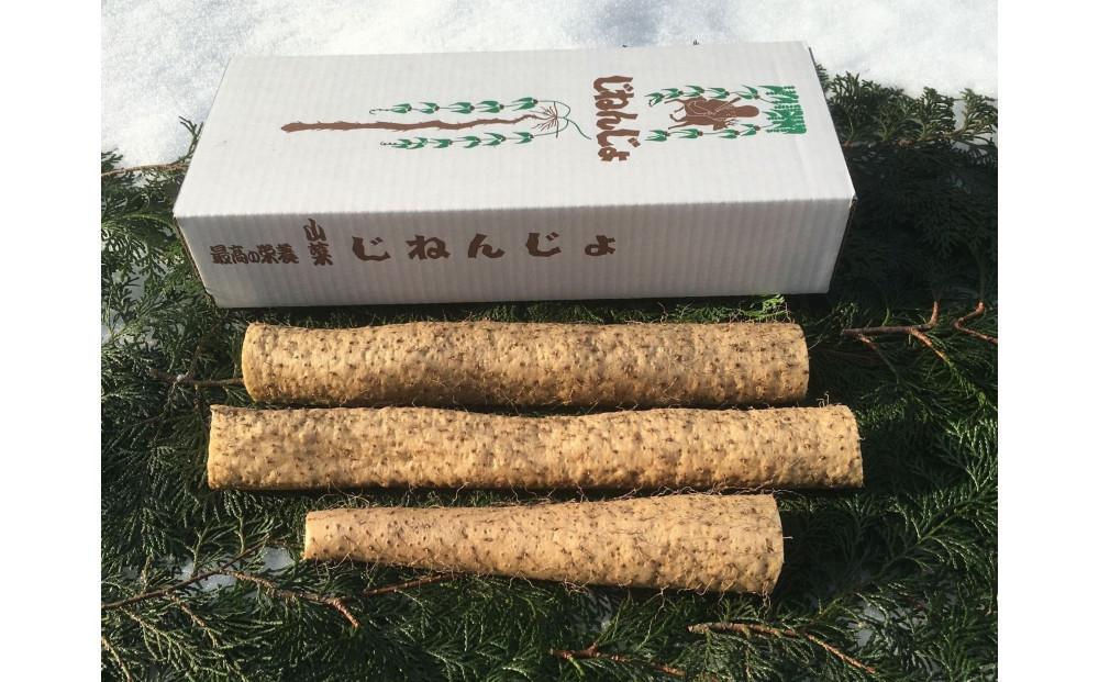 大田原産　自然薯（カット品）600ｇ［常温発送］