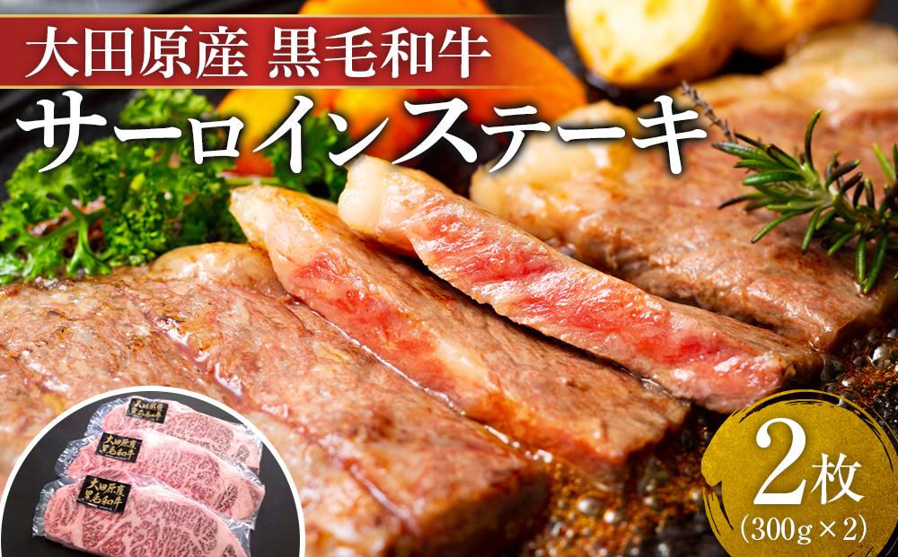 大田原産 黒毛和牛 サーロイン ステーキ　約300g×2枚