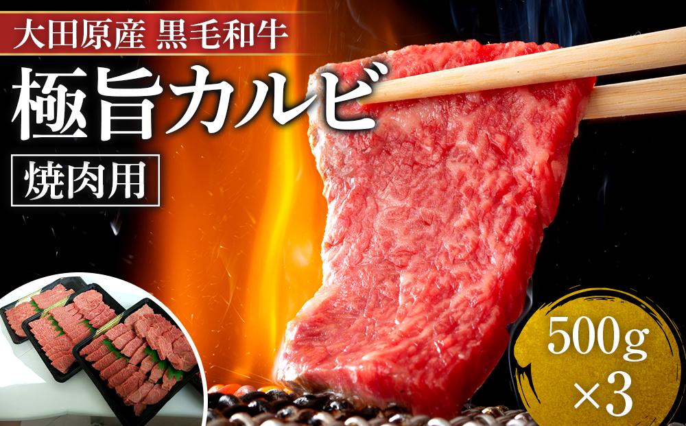 大田原産 黒毛和牛 極旨カルビ 焼肉用　500g×3
