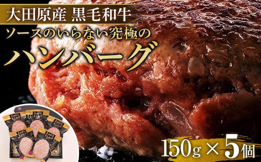 ソースのいらない究極の大田原産黒毛和牛 ハンバーグ | 黒毛和牛 熟成 高級 和牛 ハンバーグ