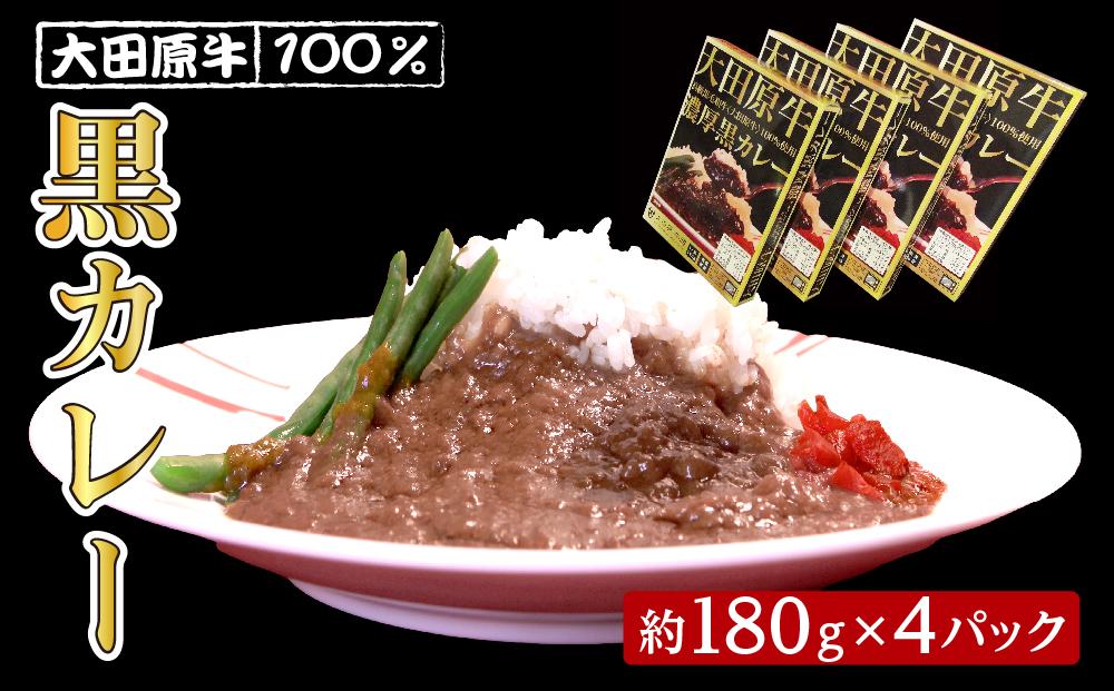 大田原牛 100％ 黒カレー 4パックセット | レトルト カレー 和牛  牛肉 ビーフカレー 高級