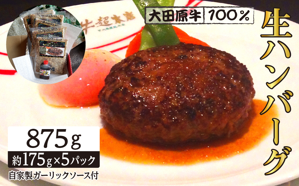 大田原牛 100％ 生ハンバーグ 5パックセット | ブランド 和牛 牛肉 高級 ハンバーグ 自家製 ソース付き