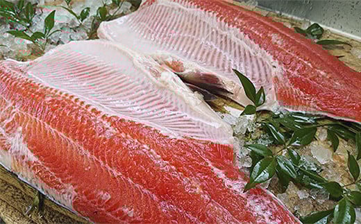 栃木県のブランド魚「プレミアムヤシオマス」丸1尾 新鮮 活け締め｜鮮魚 鱒 国産 産地直送  [0355]