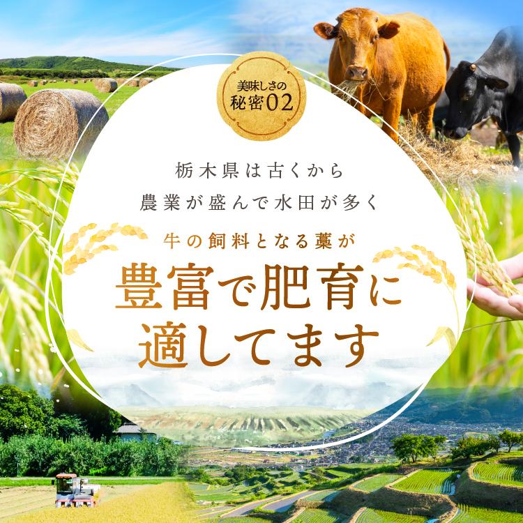 栃木県産黒毛和牛切り落とし 500g｜数量限定 黒毛 和牛 牛肉 国産牛 国産 ブランド牛 お肉 切り落とし サシ 霜降り 甘い ステーキ すき焼き しゃぶしゃぶ 焼肉 切落し 上品 アレンジ 美味しい 料理 主婦 とちぎ  栃木県 矢板市 500g