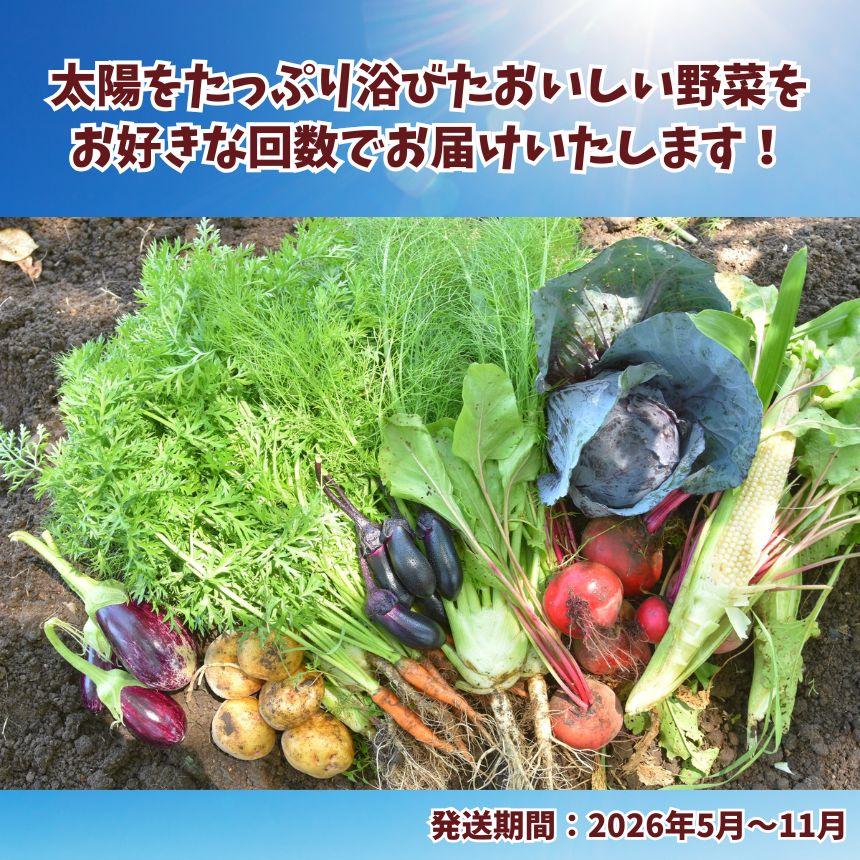 【先行予約】 栃木県産 旬の野菜 (果物) 便 3～10種 1回分 【単品】| 14,000円