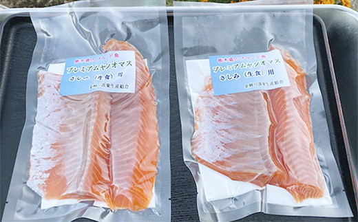 【定期便12回】産地直送栃木県のブランド魚「プレミアムヤシオマス」の刺身 800g (200g×4パック)  [ 冷凍便 ] | 魚 ます 養殖 産地直送 栃木県 (毎月お届け） 【定期12回】刺身800ｇ 