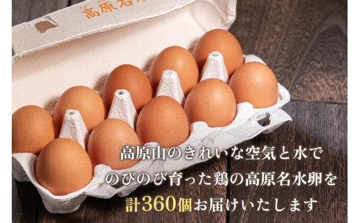 [定期便／6ヶ月] 高原名水卵 60個×6か月連続 豊かな自然で育ったアスタキサンチン含有の高原名水卵【感動の甘さと濃さ】｜こだわり卵 たまご タマゴ 玉子 生卵 鶏卵 高原養鶏場 矢板市産 