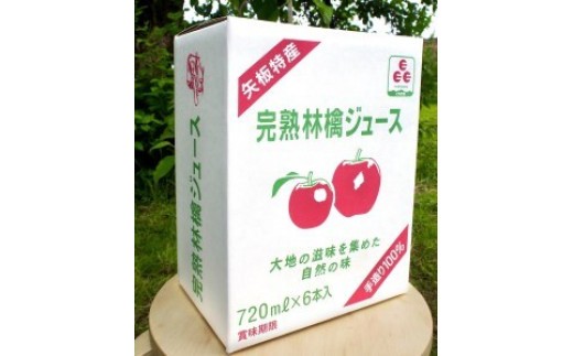 【定期便6回】 矢板市産 完熟りんごジュース《720ml×6本 2箱》｜林檎 リンゴ 果汁100% 産地直送 (毎月お届け）  定期便6回 720ml×6本入り2箱