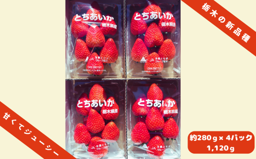 大粒とちあいか280g×4パック朝摘み新鮮｜いちご イチゴ 苺 フルーツ 果物 産地直送 とちあいか 矢板市産 栃木県産 関農園 