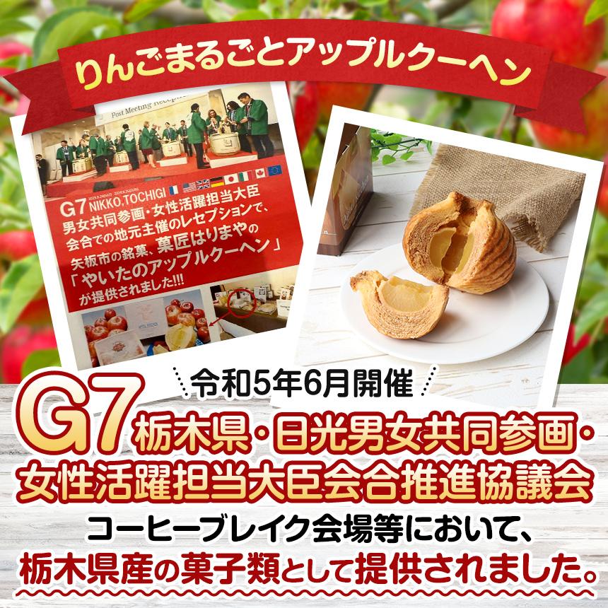 りんごまるごと アップルクーヘン 1個入 ｜林檎 リンゴ 焼菓子 洋菓子 銘菓 バームクーヘン バウムクーヘン スイーツ   1個 | 6,000円