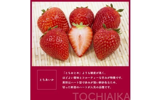 [2月以降発送][期間限定] 栃木県産 いちご とちあいか 12～15粒 × 2P 先行予約 選べる発送月 定期便3回｜栃木県産 矢板市産 フルーツ スイーツ デザート 果物 果実 産地直送 栃木県 矢板市 【2月以降発送】単品 |  14,000円
