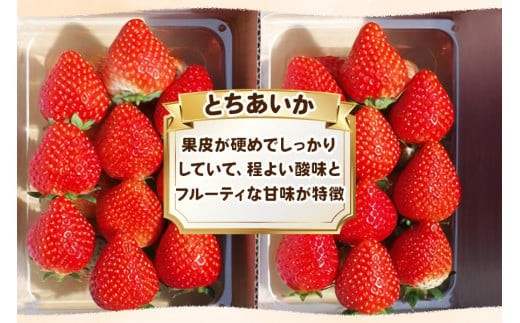 訳あり粒不揃い とちあいか 1,120g (280g×4P) 《1月～4月の期間で発送》 澳原いちご農園  | いちご 苺 イチゴ フルーツ 果物 産地直送 栃木県産 【12～4月の期間で発送】280g×4