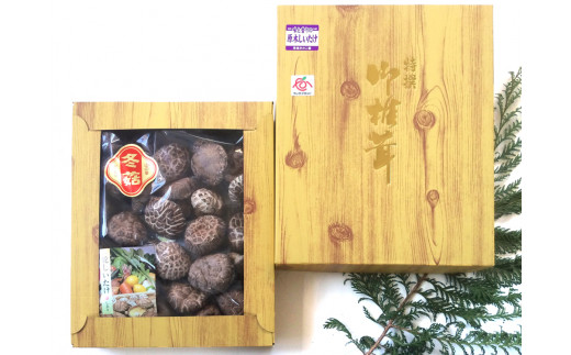 肉厚・厳選！原木育ちの上どんこ260g｜栃木県 矢板市 しいたけ 椎茸 産地直送  