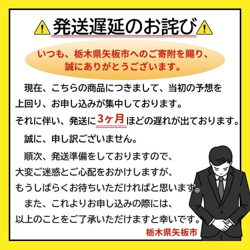 [2月以降発送] [期間限定] 栃木県産 いちご ロイヤルクイーン12～15粒 先行予約 選べる発送月｜栃木県産 矢板市産 フルーツ スイーツ デザート 果物 果実 産地直送 栃木県 矢板市 【2月以降発送】単品 |  14,000円