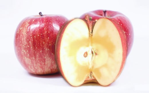 【11月下旬より順次お届け】[数量限定] 矢板市産完熟りんご ふじ 5kg箱｜リンゴ 林檎 フルーツ 果実 果物 スイーツ 産地直送 栃木県産 国産 先行予約 