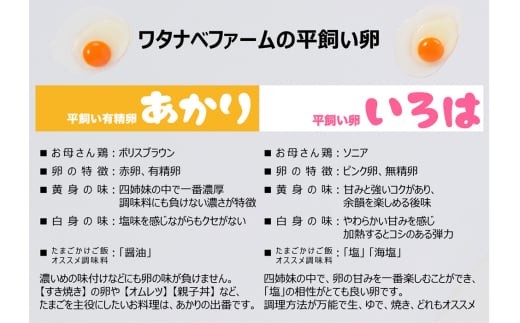 【定期便6回】[平飼い卵食べ比べ] 平飼い有精卵あかり・平飼い卵いろは 各15個 合計30個 (毎月お届け） 【定期6回】| 70,000円