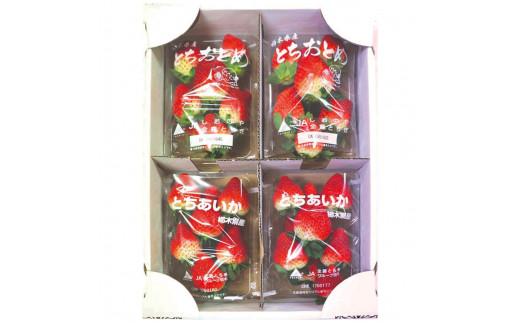 [先行予約][2026年12月中旬より順次発送予定・歴代王者と期待の新人] とちおとめ×とちあいか食べ比べセット1200g｜いちご イチゴ 苺 フルーツ 果物 産地直送 栃木県産 矢板市産 先行予約 栃木県 矢板市