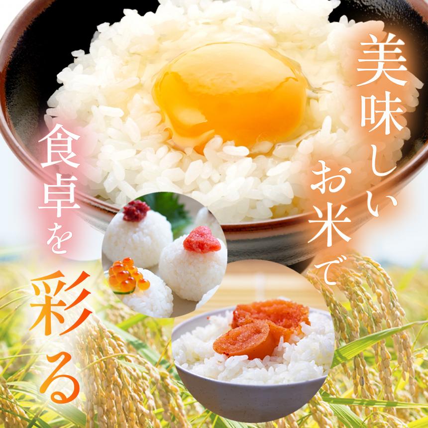 【令和7年度新米先行予約】栃木県産コシヒカリ 無洗米 5kg 定期便3回 【栃木県共通返礼品】| 定期便 お米 米 こめ 洗米 新米 無洗米 コシヒカリ こしひかり 美味しい お弁当 選べる ふるさと 納税 栃木県 矢板市   5kg | 【定期便3回】 