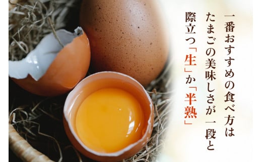 [定期便／6ヶ月] 高原名水卵 30個×6か月連続 豊かな自然で育ったアスタキサンチン含有の高原名水卵【感動の甘さと濃さ】｜こだわり卵 たまご タマゴ 玉子 生卵 鶏卵 高原養鶏場 矢板市産 